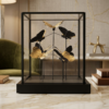 Golden Butterfly Display Box