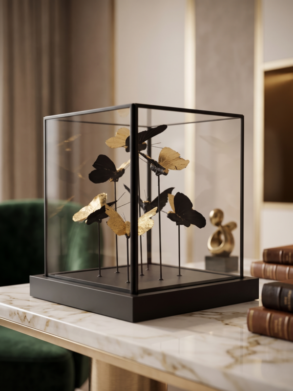 Golden Butterfly Display Box